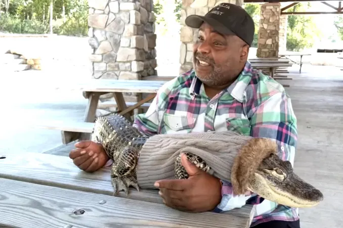 Egy férfi három és fél éven át alligátorával járt a Walmartba, de az üzlet arra kérte, hogy ezt a továbbiakban ne tegye.