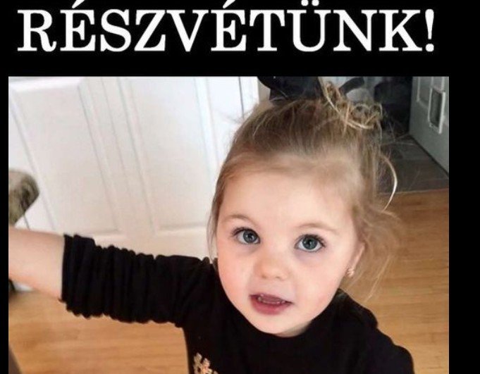 „Döbbenetes tragédia: az ország gyászolja a 2 éves Pannikát, akit pár napos eltűnése után holtan találtak meg”