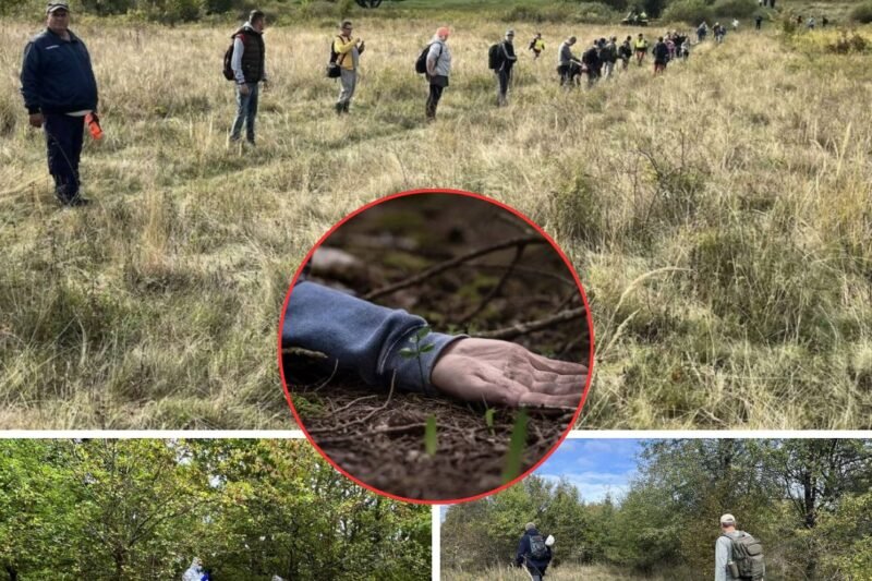 „Tragédia Pilisben: három hete eltűnt 27 éves fiatal nőről aggasztó részletek láttak napvilágot…”