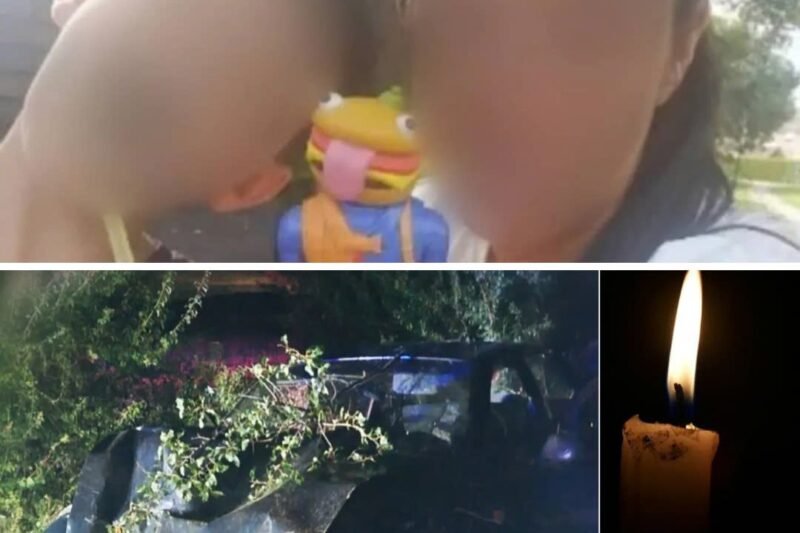 Szívszorító tragédia: magyar édesanya és kisfiai vesztették életüket egy súlyos balesetben – az egész környék összefogott a családért