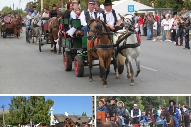 😱 Sokk a szüreti fesztiválon! A lovaskocsi kereke leszakadt, pánik tört ki – mentőhelikopter érkezett, a vidám ünnep pillanatok alatt rémálommá vált!