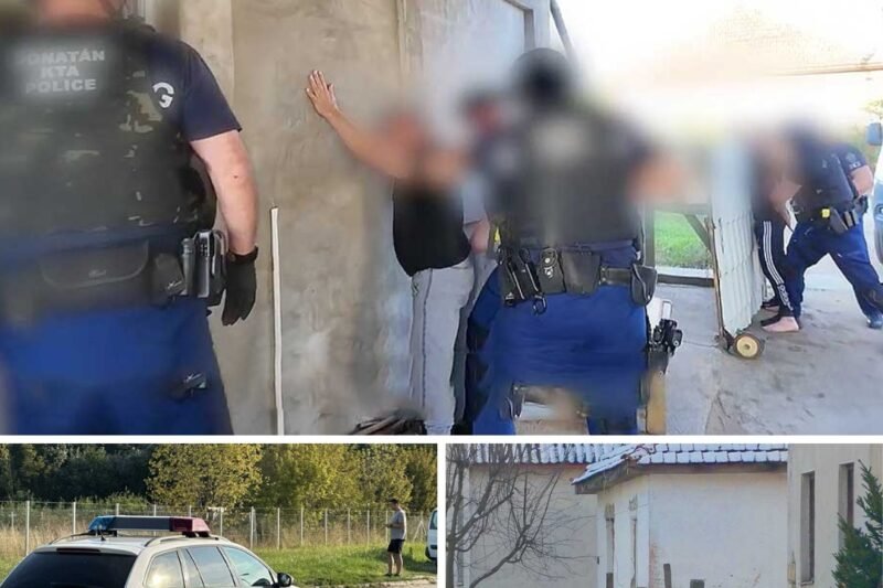 😨 Rémálom Patrohán! A fiatal nőt éheztették, kínozták, sokkolóval ütötték — végül belehalt a pokoli szenvedésbe ⚡💔