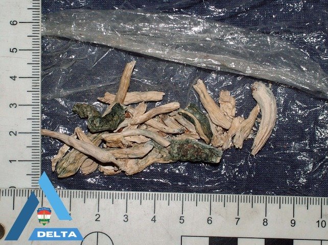 ⚠️ Скандал в Сегеде! DJ продавали спид и экстази — идентифицировано семь потребителей.