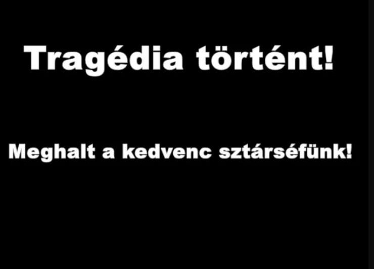 Gyászol az ország: Váratlanul meghalt a hazánkban is ismert és sokak által szeretett és nagyra becsült sztárséf! Azt egyelőre nem tudni, miben halt meg.  A tragédia néhány héttel azután történt, hogy megjelent a negyedik szakácskönyve. Russell akkor került először a címlapokra, amikor 2012-ben díjat nyert első szakácskönyvéért.  Az országos hírnevet azonban a BBC2 hatrészes The Restaurant Man című műsora hozta meg számára. Később feltűnt a népszerű Saturday Kitchen című műsorban is.  A legnagyobb szomorúsággal jelentem be legjobb barátom, Russell Norman elvesztését. Egy rövid csata után a kórházban halt meg – adott ki közleményt Russell üzlettársa és barátja, Richard Beatty. Azt egyelőre nem tudni, pontosan mi okozta a séf halálát.
