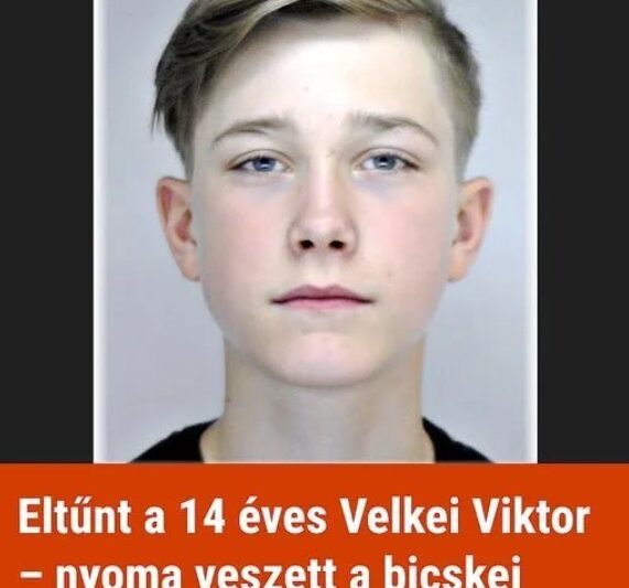 „Október 24-e óta eltűnt egy fiú — a hatóságok nagy erőkkel keresik, a részletek mindenkit sokkoltak!”