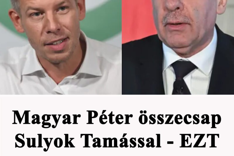 Sokk a politikában! 😳 Magyar Péter összecsap Sulyok Tamással – EZT üzente a Tisza párt elnöke 💥. Részletek a cikkben a hozzászólásoknál 👇👇