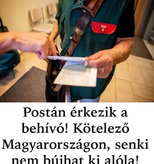 Figyelem! Postán érkezik a behívó – kötelező Magyarországon, senki sem bújhat ki alóla 😳✉️! Mindenkit érinthet, olvasd el a részleteket a cikkben 👇