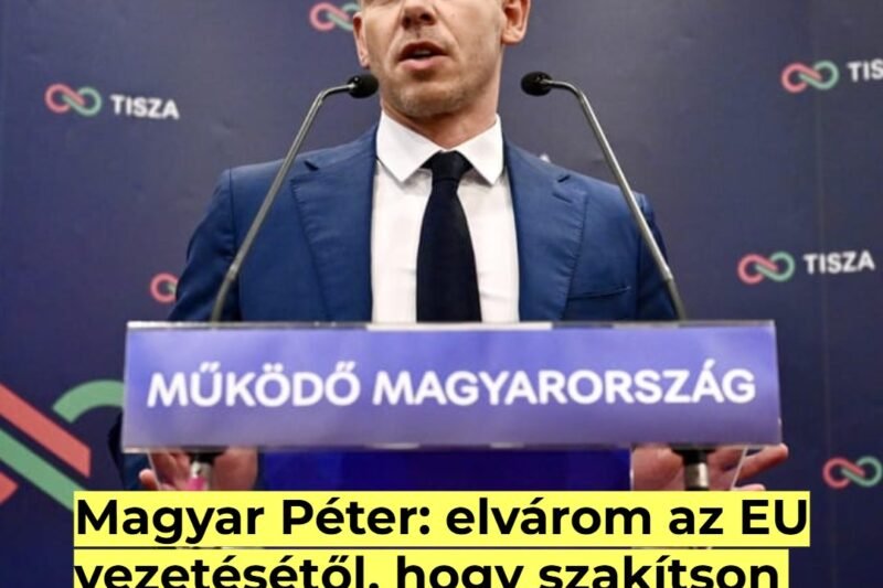 ⚡ Magyar Péter drámai üzenete az EU-nak 😳 „Szakítsanak meg minden kapcsolatot Ukrajnával, amíg Zelenszkij elnök nem kér bocsánatot!” 👇 Olvasd el a hozzászólások sokkoló reakcióit! 👇