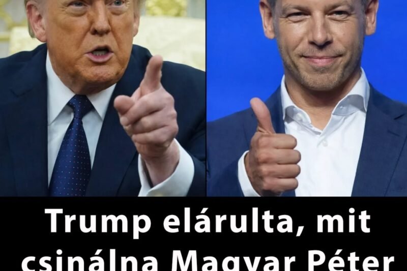 Trump megszólalt: Drámai szavak egy esetleges magyarországi kormányváltásról! 😲💬 👇 A teljes cikket a kommenteknél találod!