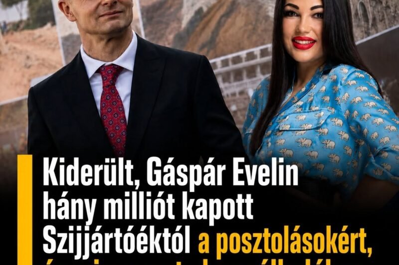 Új információk láttak napvilágot Gáspár Evelin közösségi médiás együttműködéseiről